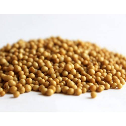 multiteck เม้ด CRF controlled release fertilizer